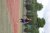 BAS Tennis
