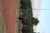 BAS Tennis