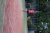 BAS Tennis