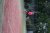 BAS Tennis