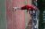 BAS Tennis