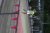 BAS Tennis