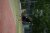 BAS Tennis
