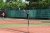 BAS Tennis