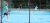 BAS Tennis