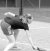 BAS Tennis