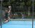 BAS Tennis