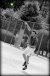 BAS Tennis