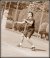 BAS Tennis