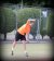 BAS Tennis