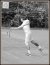 BAS Tennis