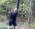 BAS Tennis