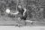 Angelique Hermus, BAS Tennis