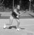 Angelique Hermus, BAS Tennis