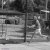 Angelique Hermus, BAS Tennis