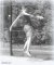 Angelique Hermus, BAS Tennis