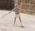 Angelique Hermus, BAS Tennis