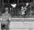 Angelique Hermus, BAS Tennis