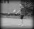 Angelique Hermus / BAS Tennis