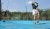 Angelique Hermus / BAS Tennis