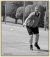 Angelique Hermus / BAS Tennis