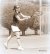 Angelique Hermus / BAS Tennis