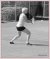 Angelique Hermus / BAS Tennis