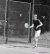 Angelique Hermus / BAS Tennis