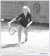 Angelique Hermus / BAS Tennis