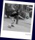 Angelique Hermus / BAS Tennis