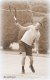 Angelique Hermus / BAS Tennis