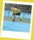 Angelique Hermus - BAS Tennis