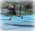 Angelique Hermus - BAS Tennis