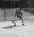 Angelique Hermus - BAS Tennis