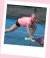 Angelique Hermus - BAS Tennis & Padel