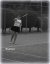 Angelique Hermus - BAS Tennis & Padel