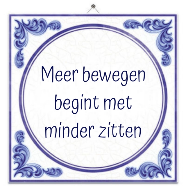 Dorpsbelangen Biddinghuizen en BAS Tennis & Padel promoten bewegen