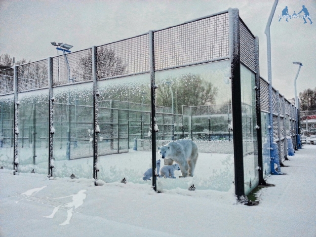 Inschrijven Wintercompetitie Padel