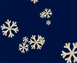 Uitslagen Padel Wintercompetitie